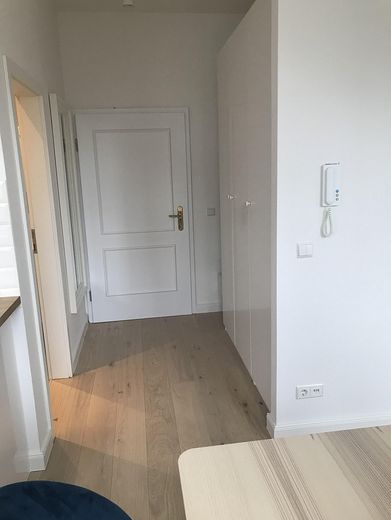 Furnished, bright 1-room apartment at the park – Eingangsbereich