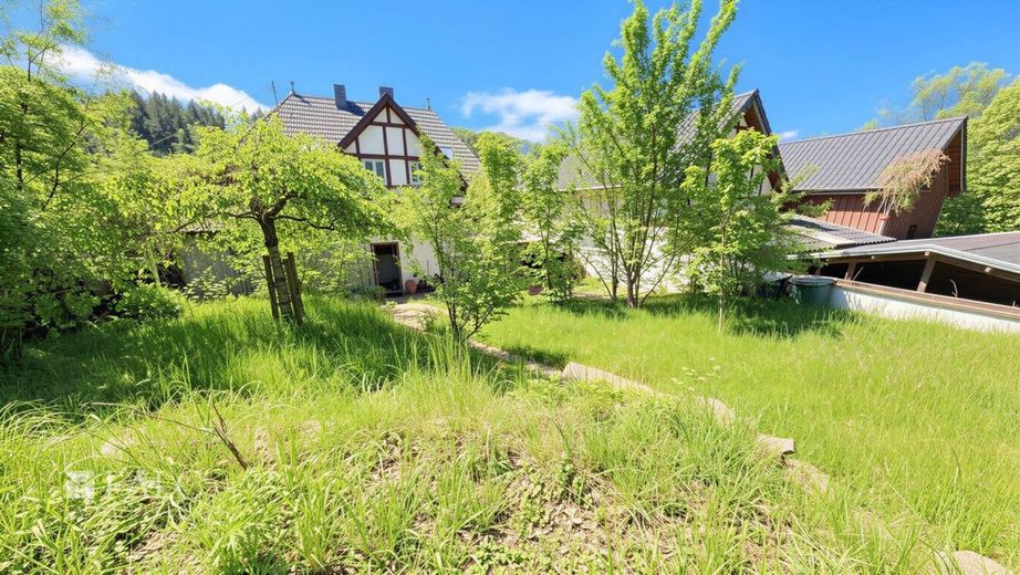 11 Zimmer, großer Garten und viel Potenzial - Haus mit Charakter – Garten