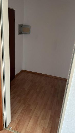 🌿 Bezugsfertig vollmöbliert – 1-Zimmer-Wohnung im vollsanierten A+-Haus mit Balkon! 🌳 – Flur vergleichbar mit Laminat