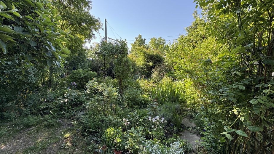 hinterer Bereich Garten