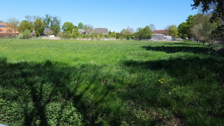 Ideal für Pferdehaltung - Einfamilienhaus, Baugrundstück, Stall und Hausweide / Resthof – Hausweide Südwestansicht