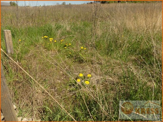 Erschlossener ebener Bauplatz ca. 767 m², in Steinau-Ulmbach incl. Abwasser- und Wasserhausanschluss – Foto 1