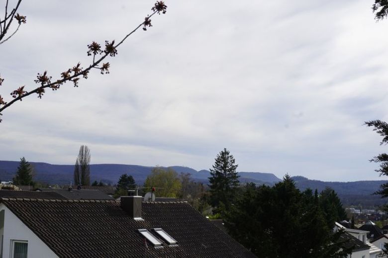 Bild 12