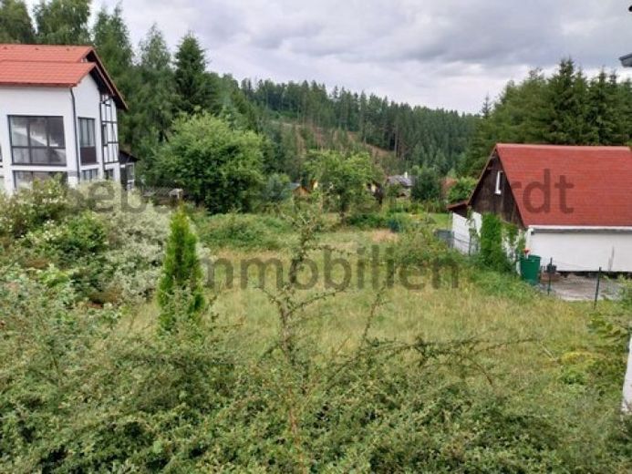 *** Baugrundstück mit Garage in Altenfeld nähe Großbreitenbach *** – फोटो 1