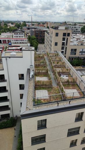 2-Zimmer Wohnung im beliebten Marina Quartier HC52 – Dachgarten