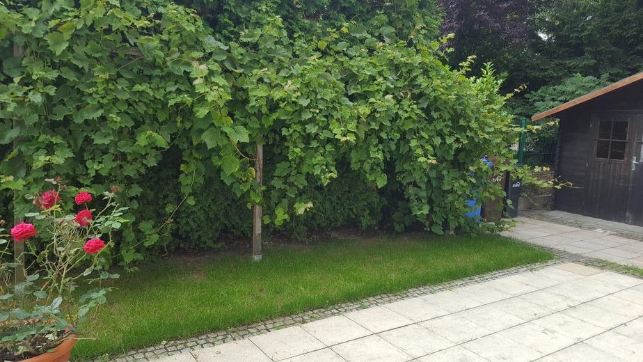 Reihenendhaus mit gehobene Ausstattung und 2 Stellplätze (Mietpreis inbegriffen) – Foto 1