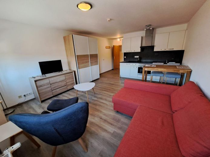 Modern und Gemütlich, Pendlerwohnung, 1-Raum Appartement im Denkmalhof, komplett ausgestattet – Blick zum Eingangsbereich