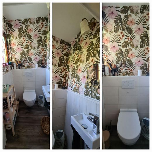 WC/Gäste-WC unten