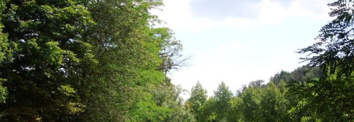 Großes Grundstück mit Dreiseitenhof
