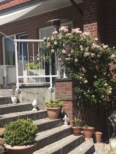 Gartenblick_zur_Terasse