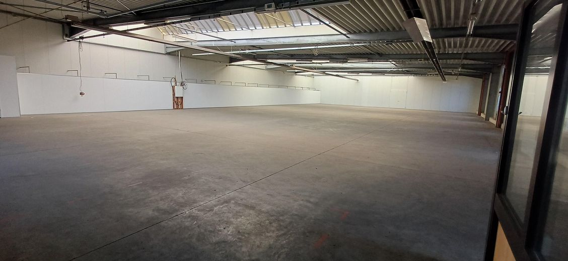 Produktions-, Lager- und Büroflächen in Salzkotten – Hallenfläche_3