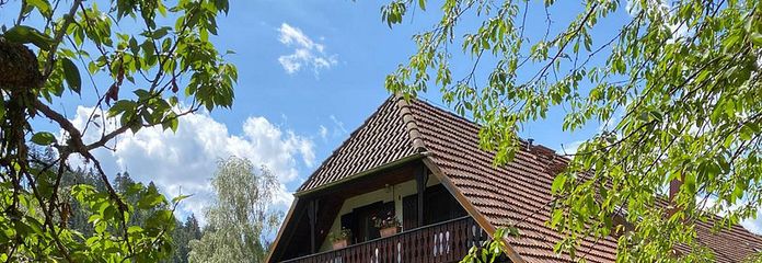 Gr. 4 Zi.- Wohnung mit echten Mehrwerten! Flexible Nutzung möglich! (App. im DG, Garten, Reserven)