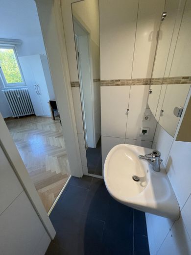 Ostviertel, An der Schillerwiese, Helles 1-Zimmer-Appartement, Teilmöbliert, 525€ warm, H52 E3 – Foto 8