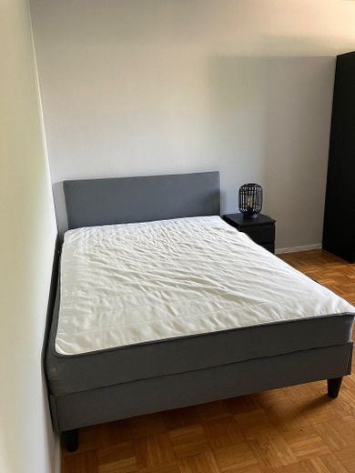 All inkl. WG Zimmer, neue Möbel, Whg renoviert, NK, Wlan, Strom inkl. – Zimmer 2 Boxspringbett