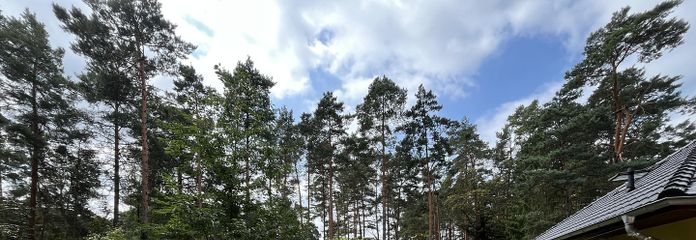 Garten vor dem Haus