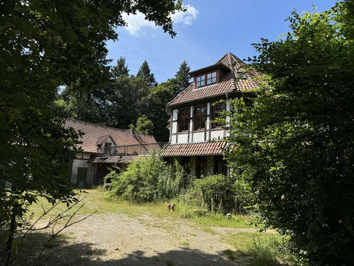 altes Forsthaus, Nebengebäude, 7600qm Grundstück, teilbar in 4 Baugrundstücke einzeln erwerbar – Zufahrt