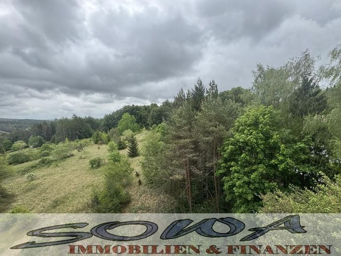 Ausblick und Natur - Bezugsfreie 3 Zimmerwohnung in Riedenburg - Geislhof - Ein Objekt von Ihrem Immobilienpartner SOWA Immobilien und Finanzen – Bild 19