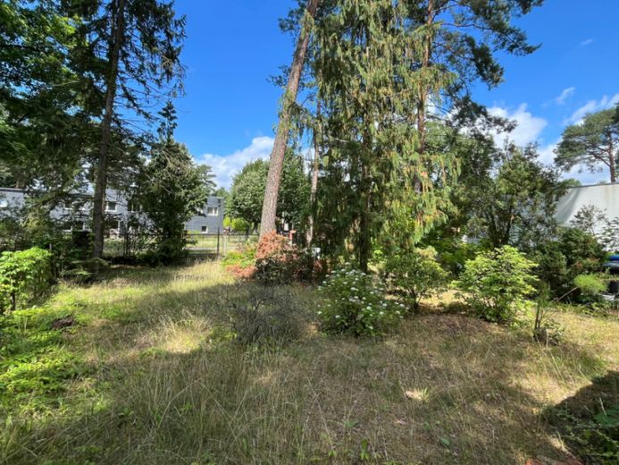 Aktionsangebot: hinteres Baugrundstück in Waldesruh nahe dem idyllischen Erpetal – Foto 1