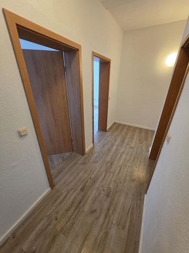 125qm 6-Raum Wohnung nach Renovierung und Sanierung zum Erstbezug – Flur und Eingangstür