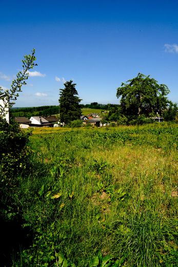 Hilgert ! Großes Grundstück - Bauvorbescheid für 2 EFH liegt vor – Blick Richtung Eifel
