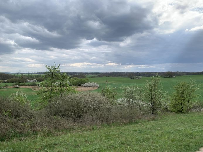 Dream property with house in the Uckermark – right in the biosphere reserve, water and forest – Umgebung