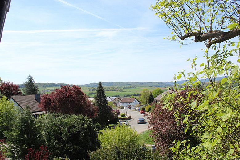 Zweifamilien-Wohnhaus in der Kleinstadt Leun im Lahn-Dill-Kreis. Der Kaufpreis ist verhandelbar. – Ausblick von Balkon 1 Südwest