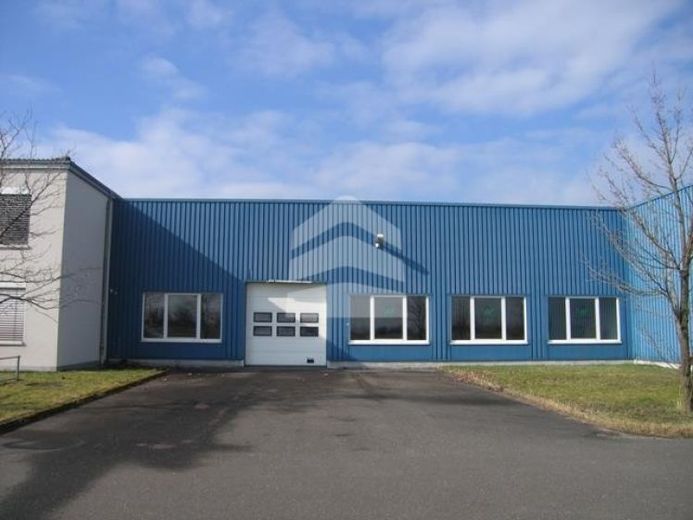 HALLEN.flächen inkl. Büro mit 498 m² nahe des Schkeuditzer Kreuz/Flughafen – Foto 1