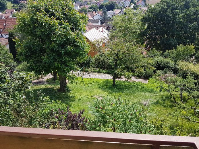 Herrlicher großer Garten