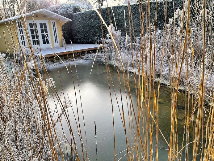Wohnen und Arbeiten: Stilvolles Mehrfamilien- und Geschäftshaus mit großem Garten. – Teich, Gartenhaus, Terrasse
