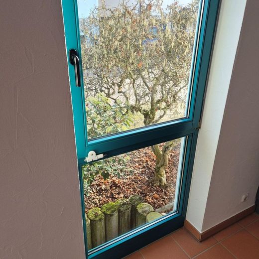 Eigener Blick in den Vorgarten