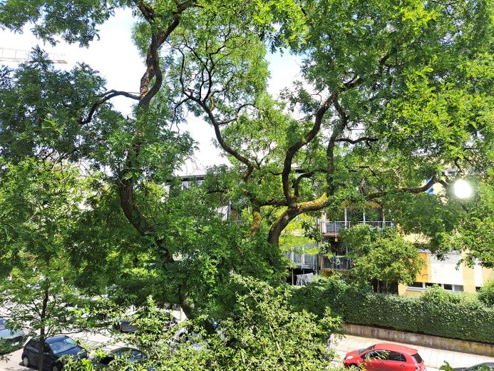 Sehr gut geschnittene, helle 2-Zimmer-Wohnung mit Balkon und Tiefgaragenstellplatz zu verkaufen – Blick aus Schlafzimmer
