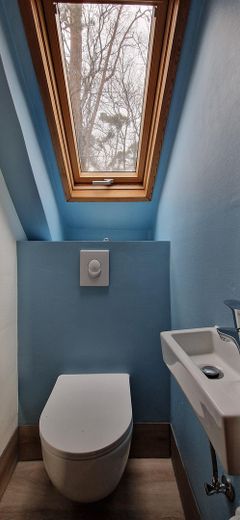 Reduzierter Preis u. provisionsfrei : Charaktervolles Einfamilienhaus im Grünen mit Dachterrasse – OG. WC