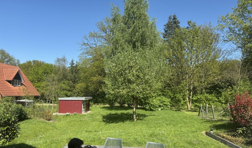 Gartenblick von der Terrasse