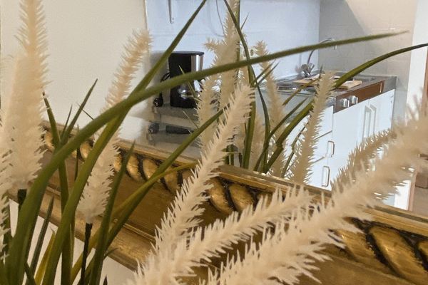 जापान क्वार्टर के पास आकर्षक सिंगल अपार्टमेंट (सुसज्जित)