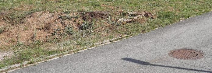 Sonniges Baugrundstück im Gorxheimertal – erschlossen, provisionsfrei & kurzfristig bebaubar – Straßenseite 
