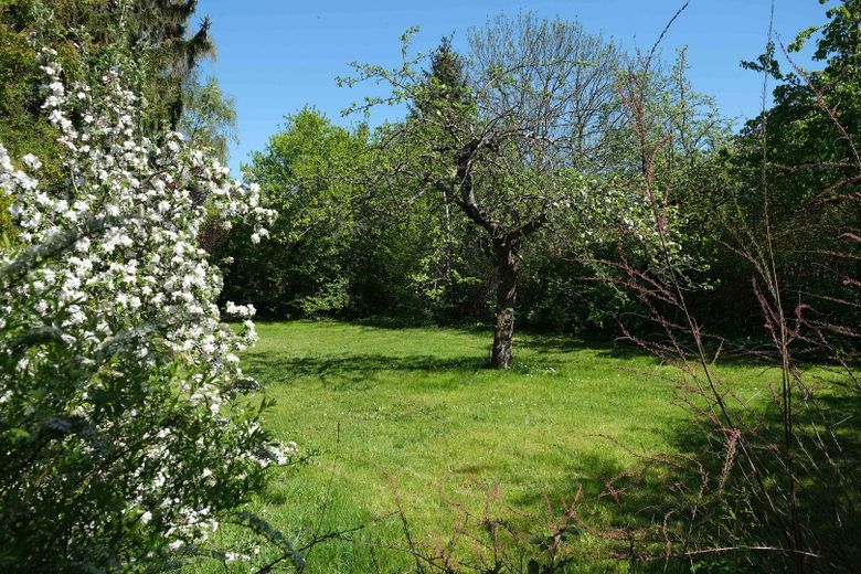 Grundstück mit Steinbungalow – Wiese, Apfelbaum