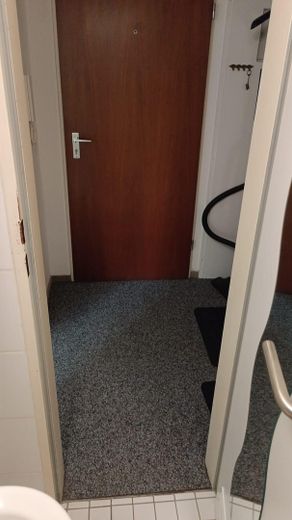 🌿 Bezugsfertig vollmöbliert – 1-Zimmer-Wohnung im vollsanierten A+-Haus mit Balkon! 🌳 – Flur alt (jetzt mit Laminat)