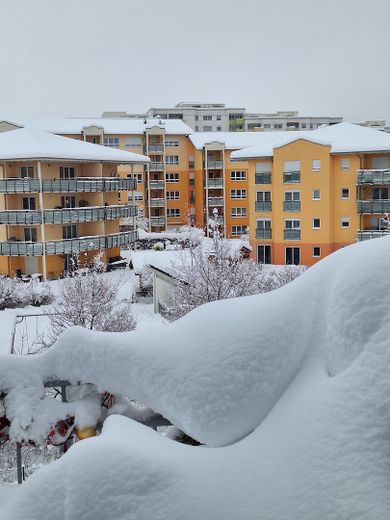 Blick im Winter