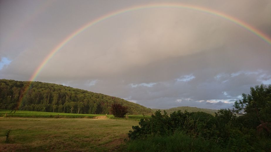 Großzügiger, Idyllisch gelegener Dreiseithof mit Wiese, Courtagefrei – 7_Wiese_Regenbogen