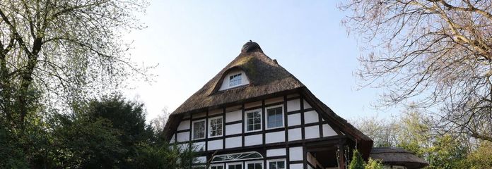 Südansicht mit Begrünungsbeispiel