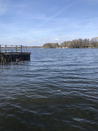 Panoramablick auf den See
