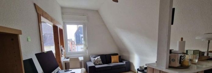 Weststadt Period Gem – Two Apartments in One Unit