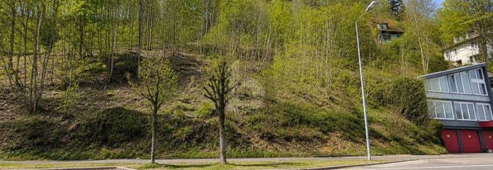 BAUEN MIT AUSSICHT UND FREIRAUM