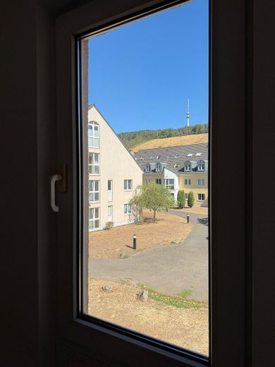 Modernes Studio in Trier-Ost ideal für Studierende / Berufsanfänger o. Luxemburg Pendler – Foto 2