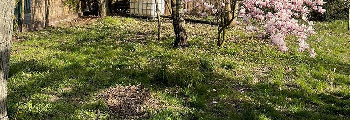 Grundstück Frühjahr