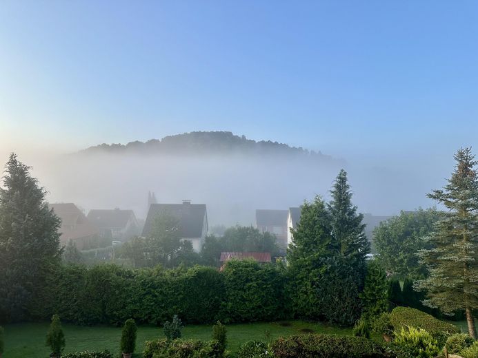 Panorama Nebel