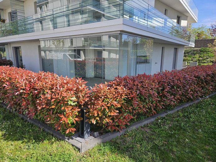 Wohnen wie im eigenen Haus – moderne Gartenwohnung am Altrhein mit Terrasse & Tiefgarage – फोटो 13