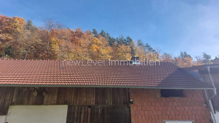 saniertes Dach