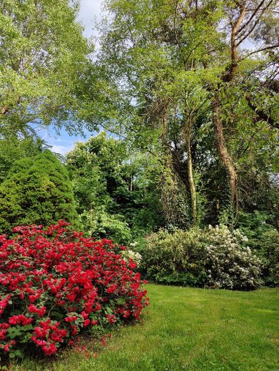 Garten Front