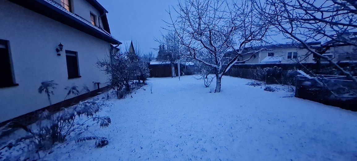 Garten im Winter